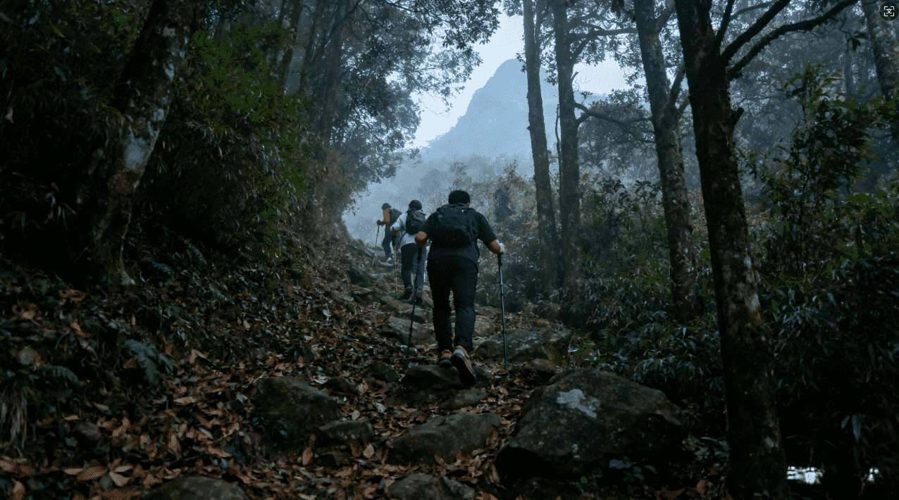全面详解飞机直装加速器下载安装步骤与操作指南